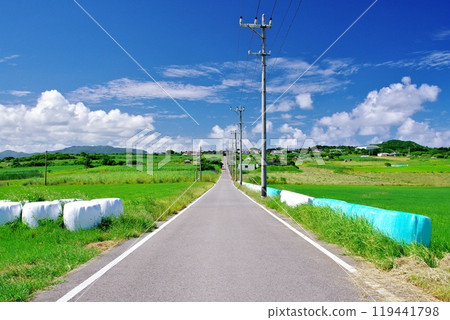 Kohama Island, Okinawa Prefecture: Blue skies and Sugar Road 119441798