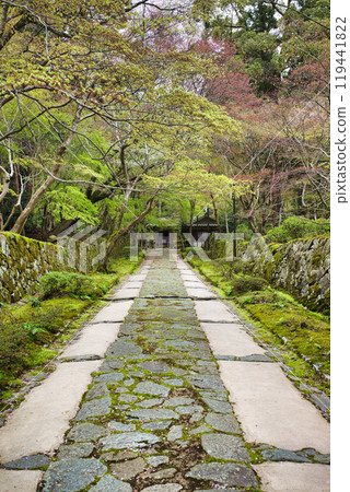 Shiga Prefecture Kongorinji Green World Shiga Prefecture Kongorinji Green World 119441822