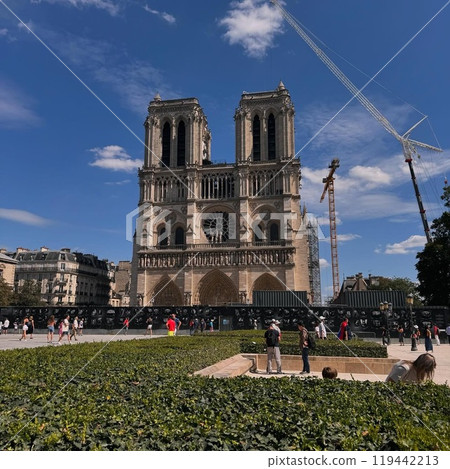 Notre Dame  119442213