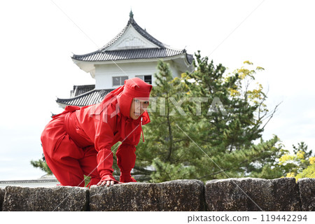 女野市從石牆頂往外看 119442294