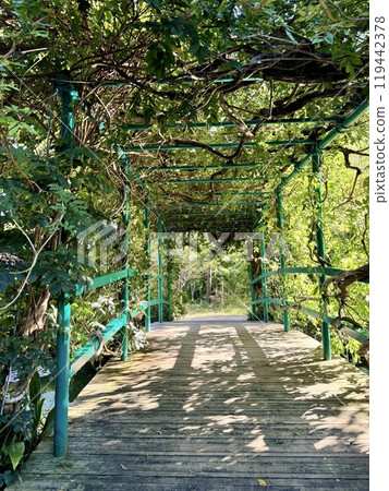 Monet's garden 119442378