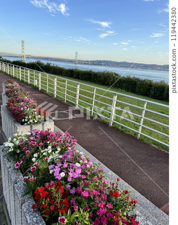 Akashi Strait 119442380