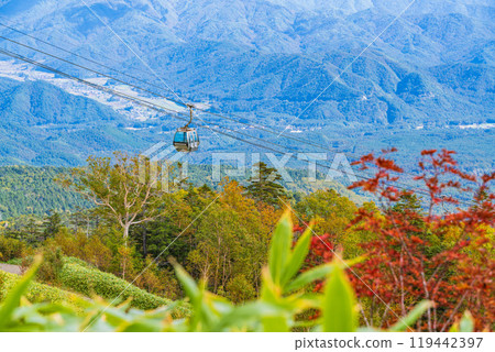 [Nagano Prefecture] Kiso Ontake Ropeway - The view below 119442397