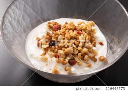 Fruit Granola Yogurt Fruit Granola Yogurt 119442575