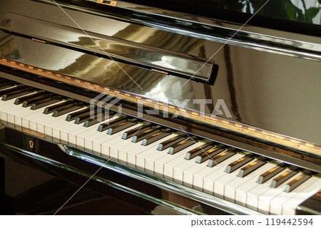 Close-up of the upright piano keys in the living room 119442594