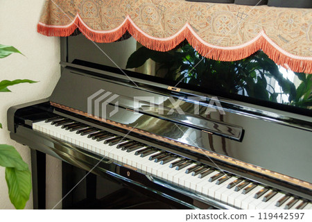 客廳裡的直立式鋼琴 119442597
