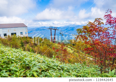 [長野縣] 木曾/禦嶽索道、飯盛高原站高山植物園 119442645