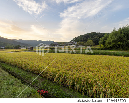 The rural landscape in front of Tachibana-dera Temple in Asuka Village The rural landscape in front of Tachibana-dera Temple in Asuka Village 119442703