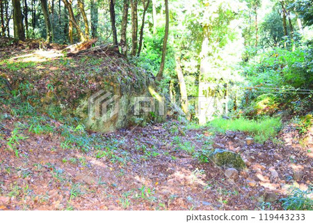 [Continued Top 100 Castles in Japan] Mino Kanayama Castle 119443233