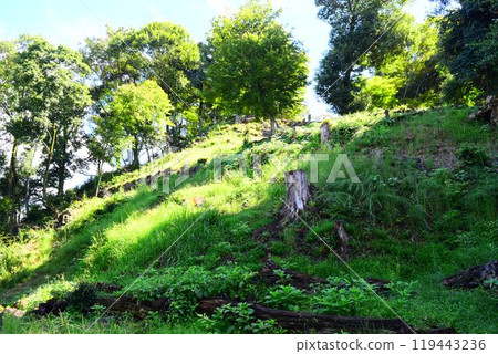 [Continued Top 100 Castles in Japan] Mino Kanayama Castle 119443236