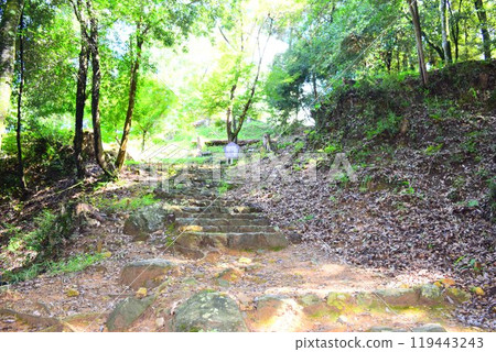 [Continued Top 100 Castles in Japan] Mino Kanayama Castle 119443243