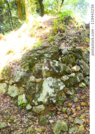 [Continued Top 100 Castles in Japan] Mino Kanayama Castle 119443256