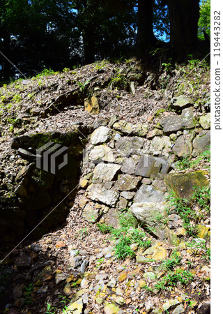 【上接日本名城百選】美濃金山城 119443282