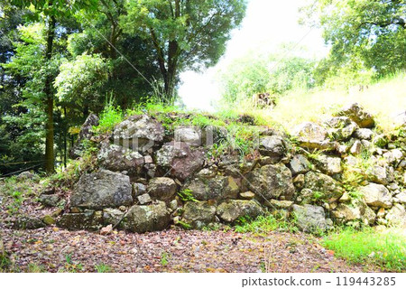 [Continued Top 100 Castles in Japan] Mino Kanayama Castle 119443285