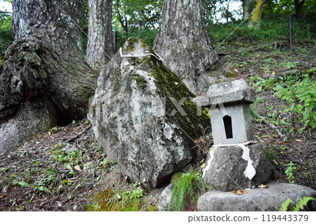 [特別史蹟]富垣遺跡 119443379