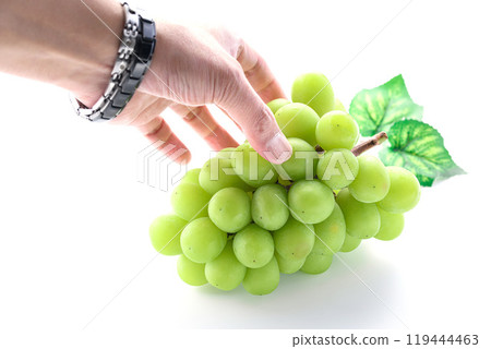 秋味閃耀馬斯喀特（白色背景） 119444463