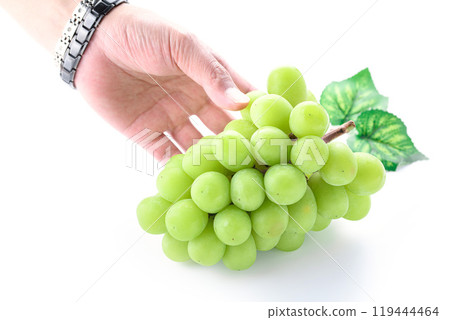 秋味閃耀馬斯喀特（白色背景） 119444464