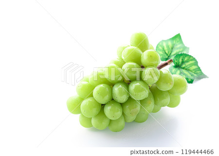 Autumn taste Shine Muscat (white background) Autumn taste Shine Muscat (white background) 119444466