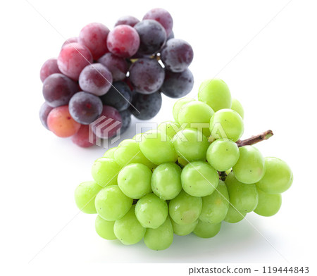 秋味閃耀馬斯喀特和先鋒(白色背景) 秋味閃耀馬斯喀特和先鋒(白色背景) 119444843