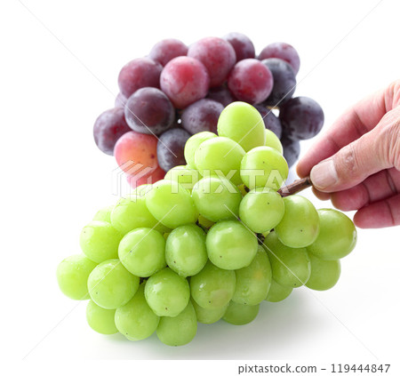 Autumn flavors: Shine Muscat and Pione (white background) Autumn flavors: Shine Muscat and Pione (white background) 119444847