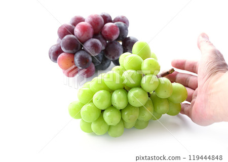 秋味閃耀馬斯喀特和先鋒（白色背景） 119444848