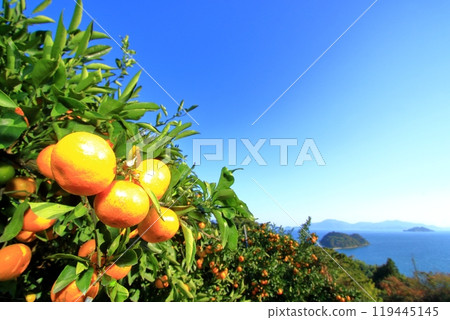 Autumn scenery of Oshiba Island 119445145