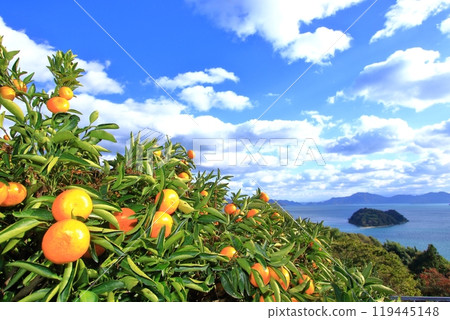 Main characters of the island overlooking the Seto Inland Sea 119445148