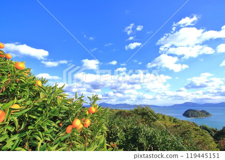 秋季從大芝島眺望心島和飛島街道 119445151