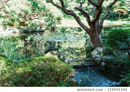 京都平安神宮的初秋（10月中旬拍攝） 119445388