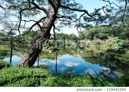 Early autumn at Heian Shrine in Kyoto (photographed in mid-October) Early autumn at Heian Shrine in Kyoto (photographed in mid-October) 119445394