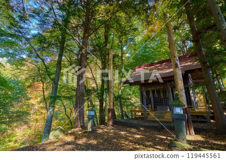 長野縣茅野市秋日樽姬神社的神社建築與夜景燈光 119445561