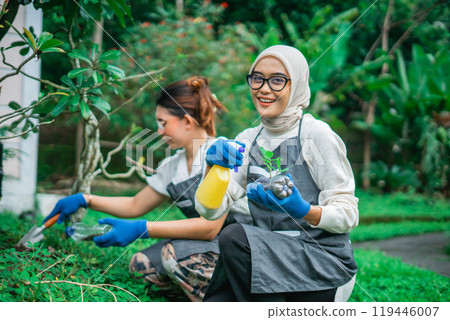hijab woman watering green vegetable seedling 119446007