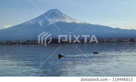 Beautiful Mt. Fuji 119446013