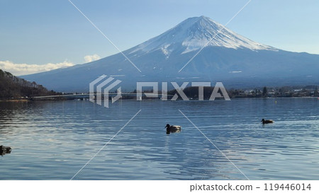 View of Mt. Fuji in the evening 119446014