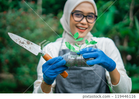 crop view asian hijab woman holding green plant in recycled bottle crop view asian hijab woman holding green plant in recycled bottle 119446116