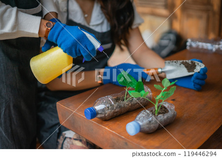 female hand spraying green seedling on the table 119446294