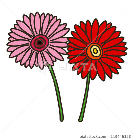 Gerbera 119446338
