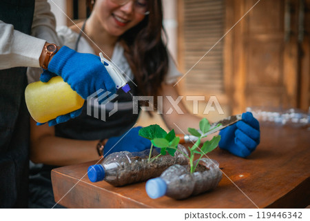 crop view female hand spraying seedling 119446342
