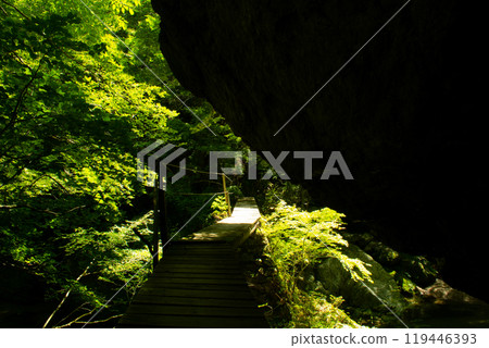 Fresh green and bridge 119446393