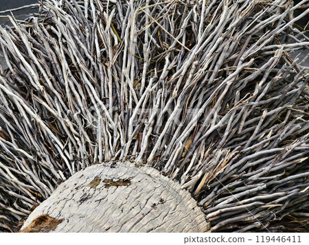 large pile consisting of branches and twigs located on the beach 119446411