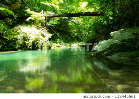 美麗的綠色河流 119446661
