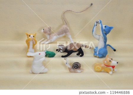 毛氈動物 119446886