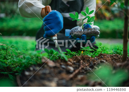 crop view woman holding trowel planting seedling into soil crop view woman holding trowel planting seedling into soil 119446898