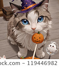 Ragdoll kitten in Halloween costume Ragdoll kitten in Halloween costume 119446982