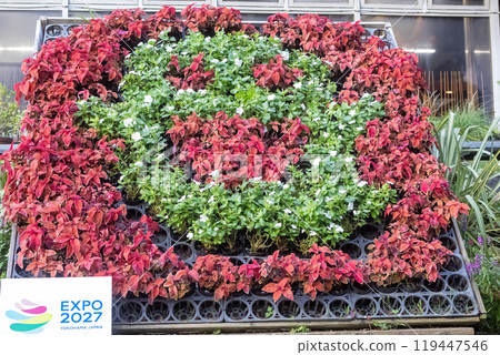 鈴木耳朵特寫 119447546