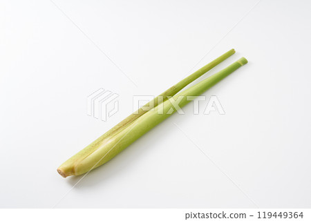 Image of makomodake (bamboo shoot) 119449364