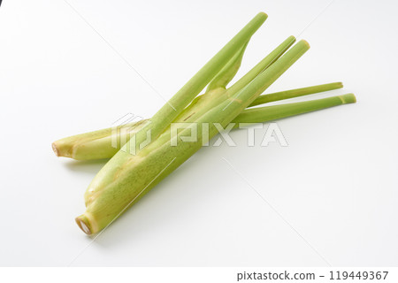 Image of makomodake (bamboo shoot) 119449367