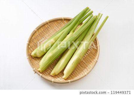 Image of makomodake (bamboo shoot) 119449371