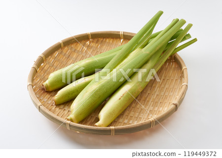 Image of makomodake (bamboo shoot) Image of makomodake (bamboo shoot) 119449372
