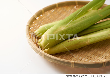 真子岳圖像 119449373